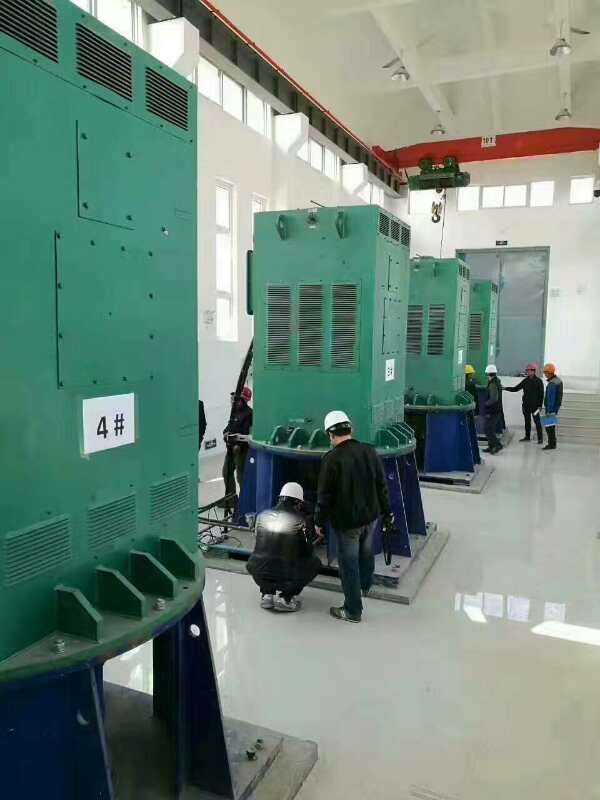 章贡某污水处理厂使用我厂的立式高压电机安装现场